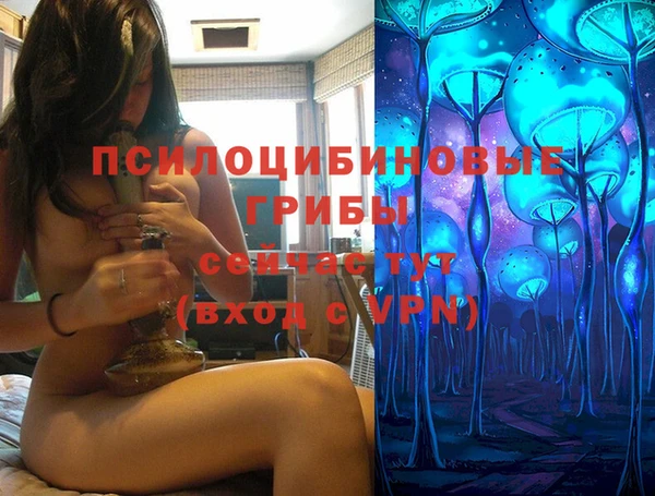 стаф Армянск